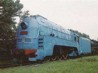 pacina